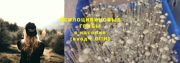 ешки Абдулино