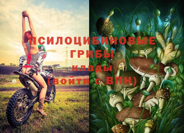 МДПВ Абинск