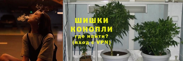 кокс Гусев