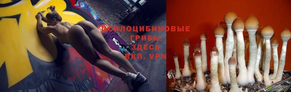 МДПВ Абинск