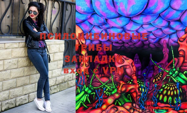 PSILOCYBIN Абаза