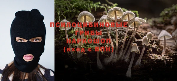 PSILOCYBIN Абаза