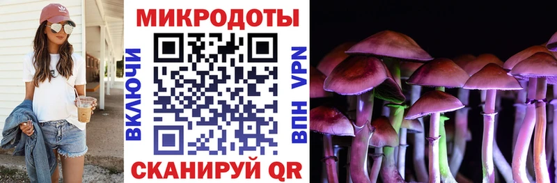 Псилоцибиновые грибы ЛСД  блэк спрут как войти  Шали  дарнет шоп 