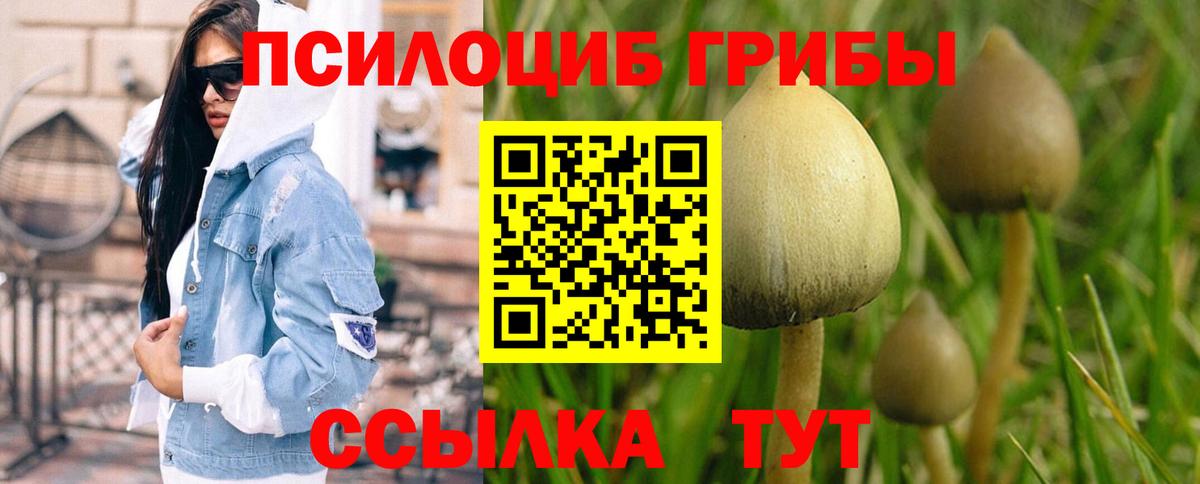 Галлюциногенные грибы Cubensis Шали
